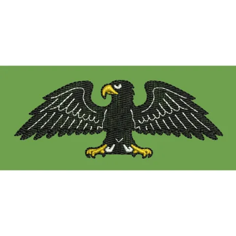 Black Eagle Embroidery Design