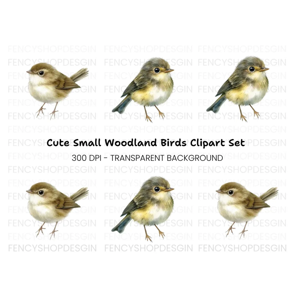 Cute Small Birds Clipart Bundle