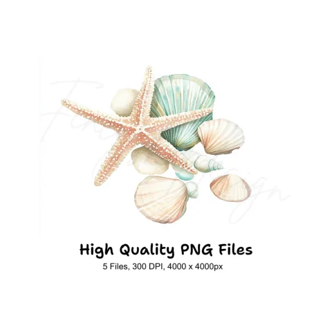 Seashells Starfish Clipart Bundle