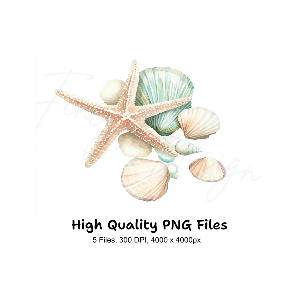 Seashells Starfish Clipart Bundle
