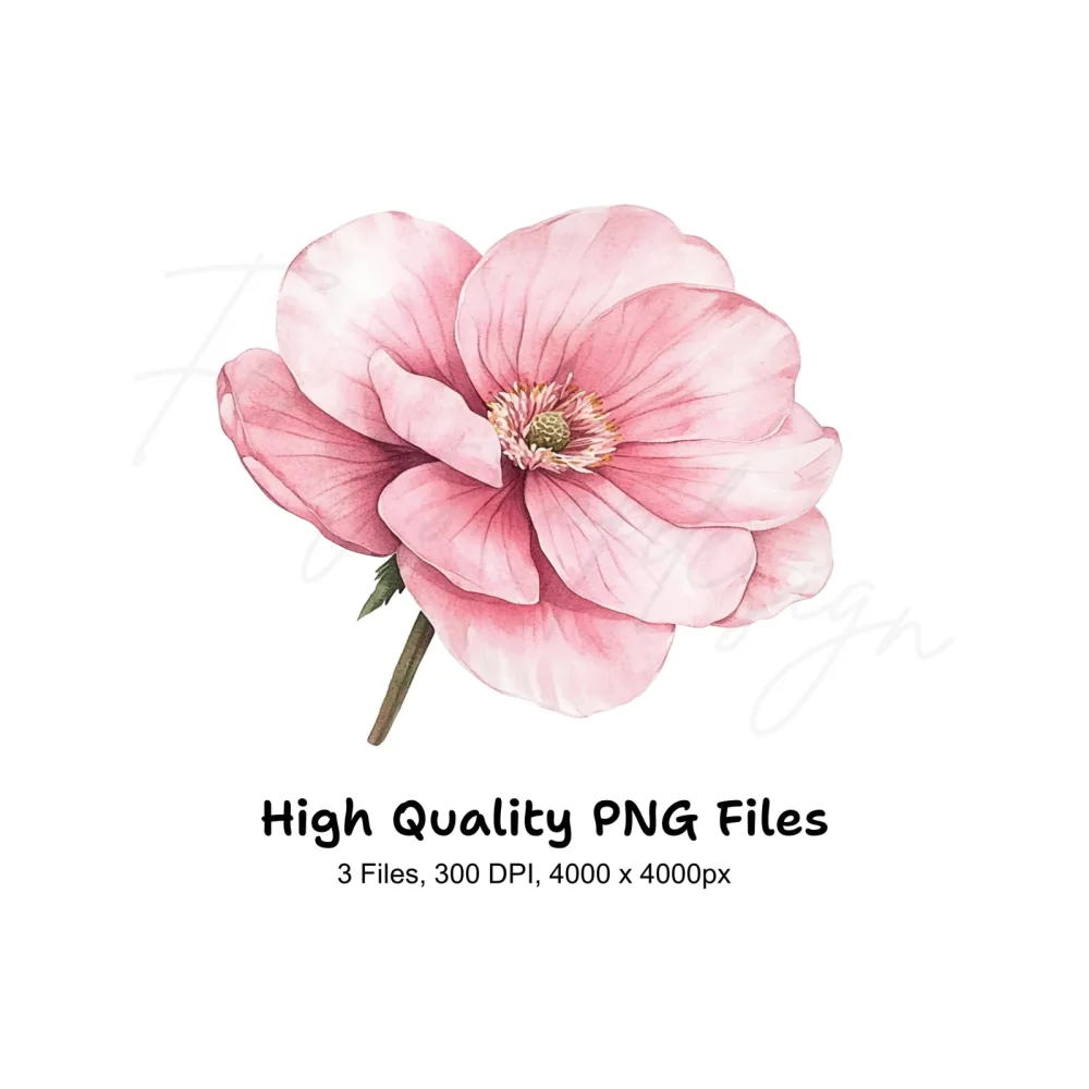 Blush Pink Flower Clipart Bundle