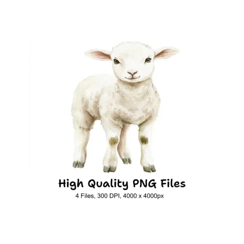 Lamb Clipart Bundle
