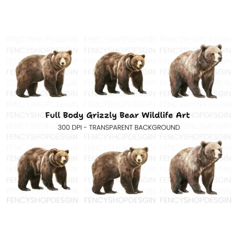 Realistic Grizzly Bear Clipart Bundle