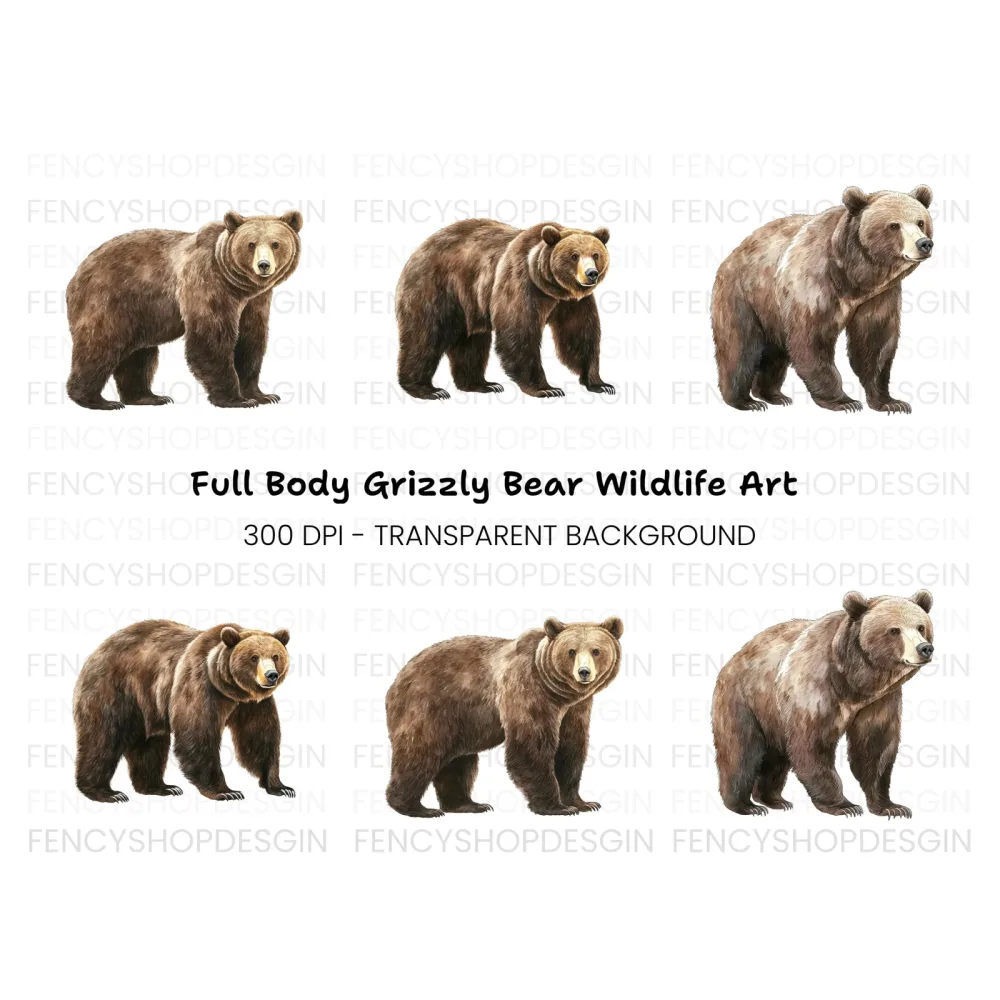 Realistic Grizzly Bear Clipart Bundle