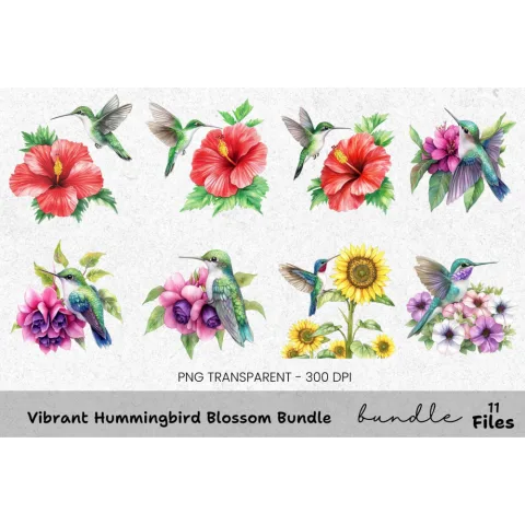 Vibrant Hummingbird Blossom Clipart Bundle