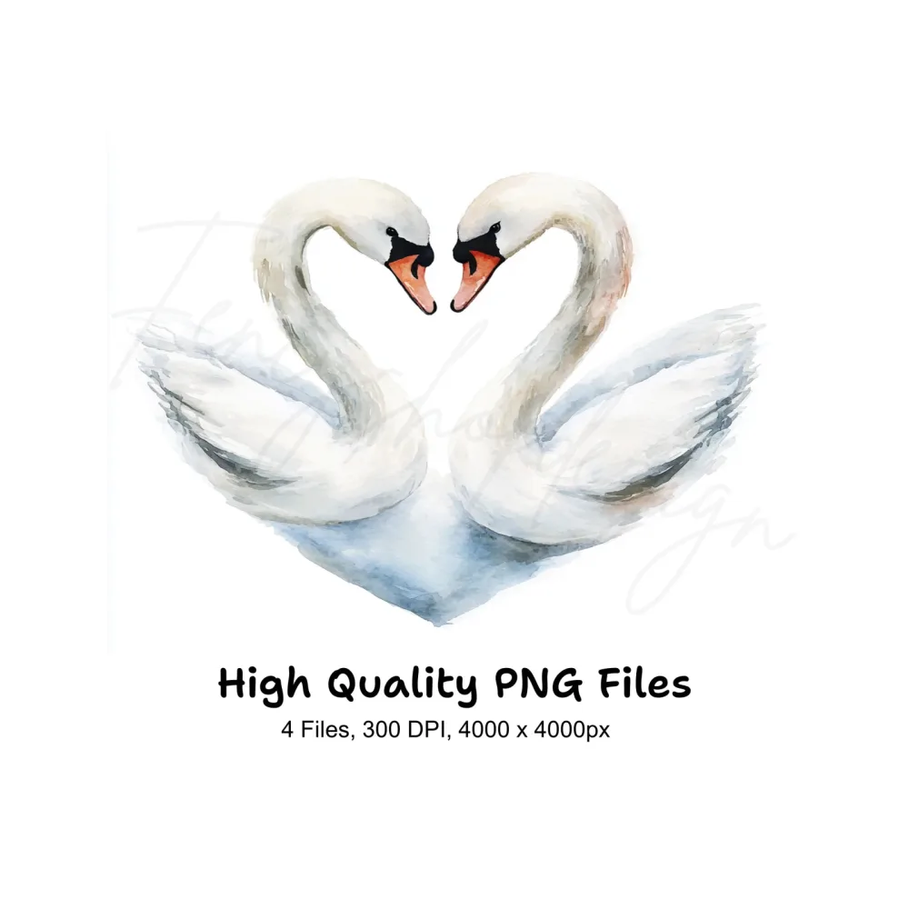 Swans Heart Clipart Bundle