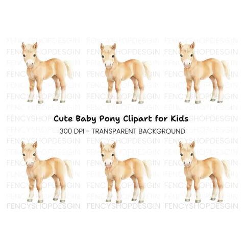 Adorable Palomino Foal Clipart Bundle