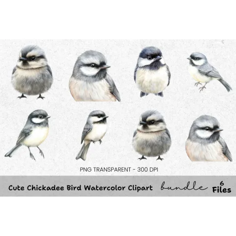 Cute Chickadee Bird Clipart Bundle