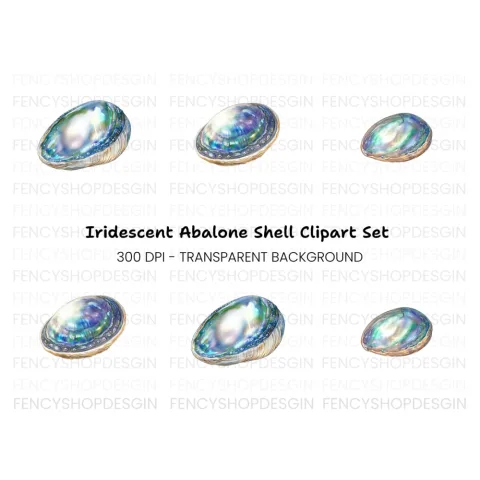 Iridescent Abalone Shells Clipart Bundle