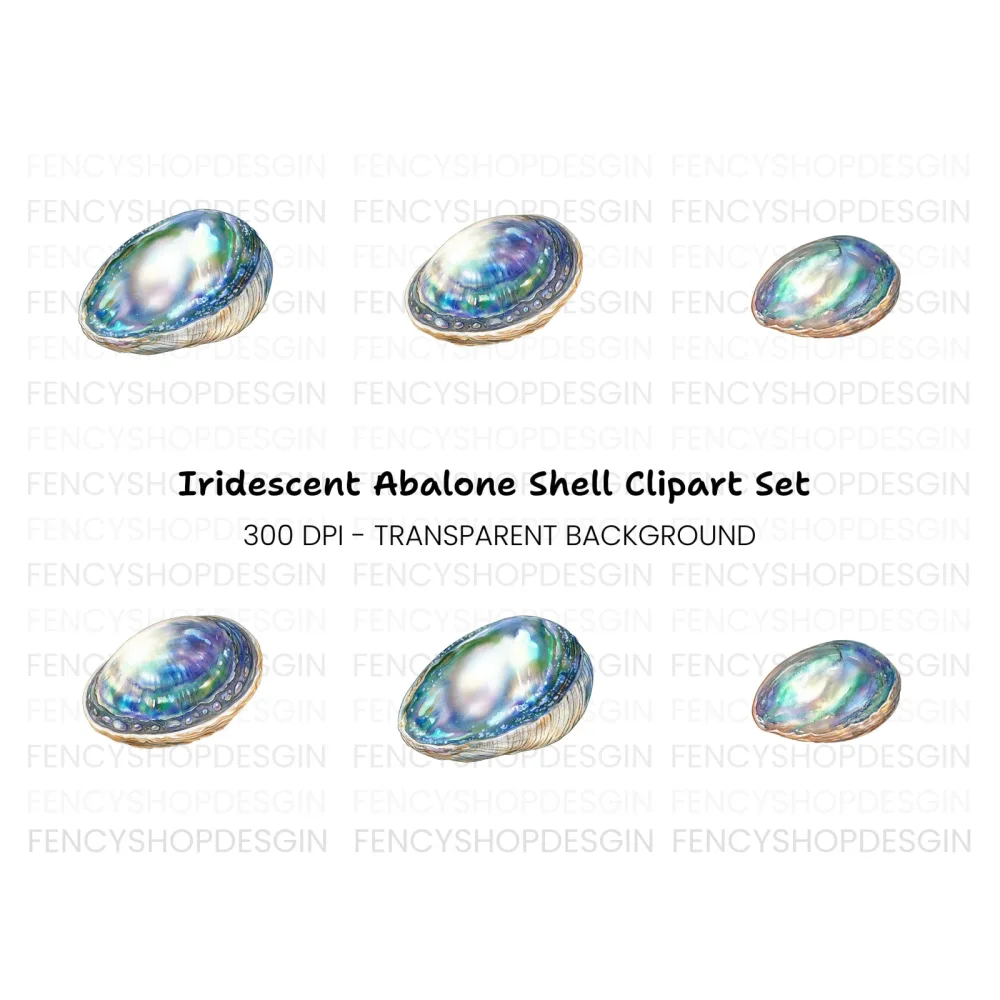 Iridescent Abalone Shells Clipart Bundle