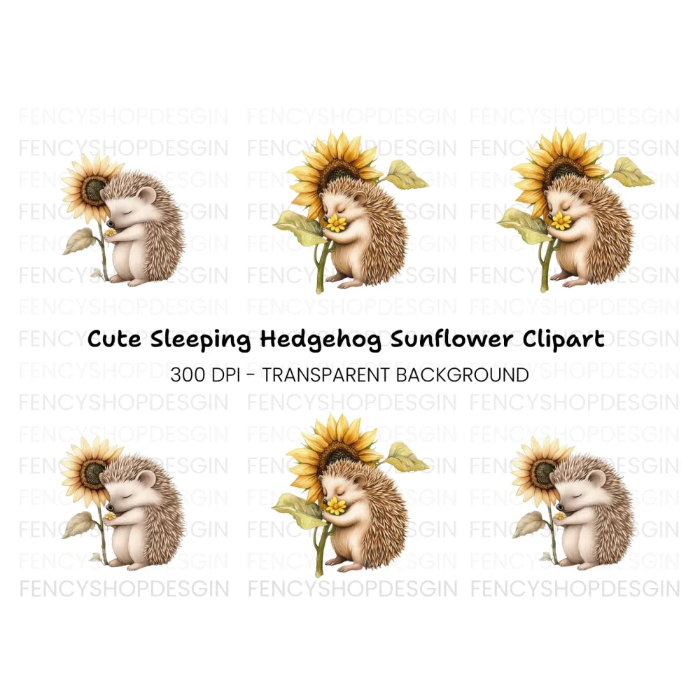Cute Hedgehog Sleeping with Sunflower Clipart Bundle