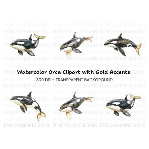 Majestic Orca Whale Clipart Bundle