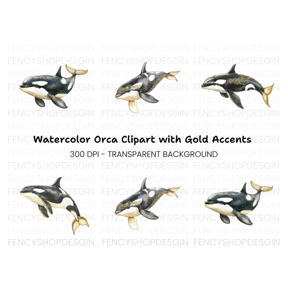Majestic Orca Whale Clipart Bundle