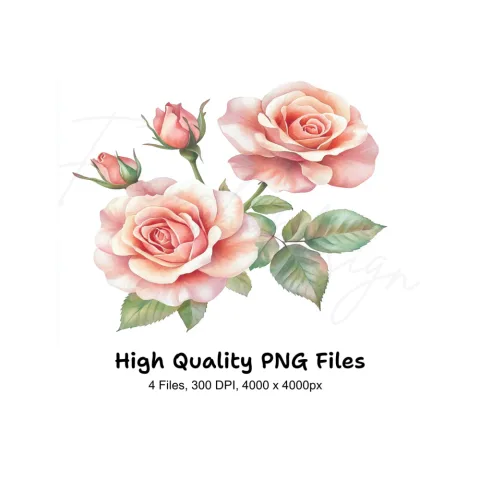 Blush Pink Rose Clipart Bundle