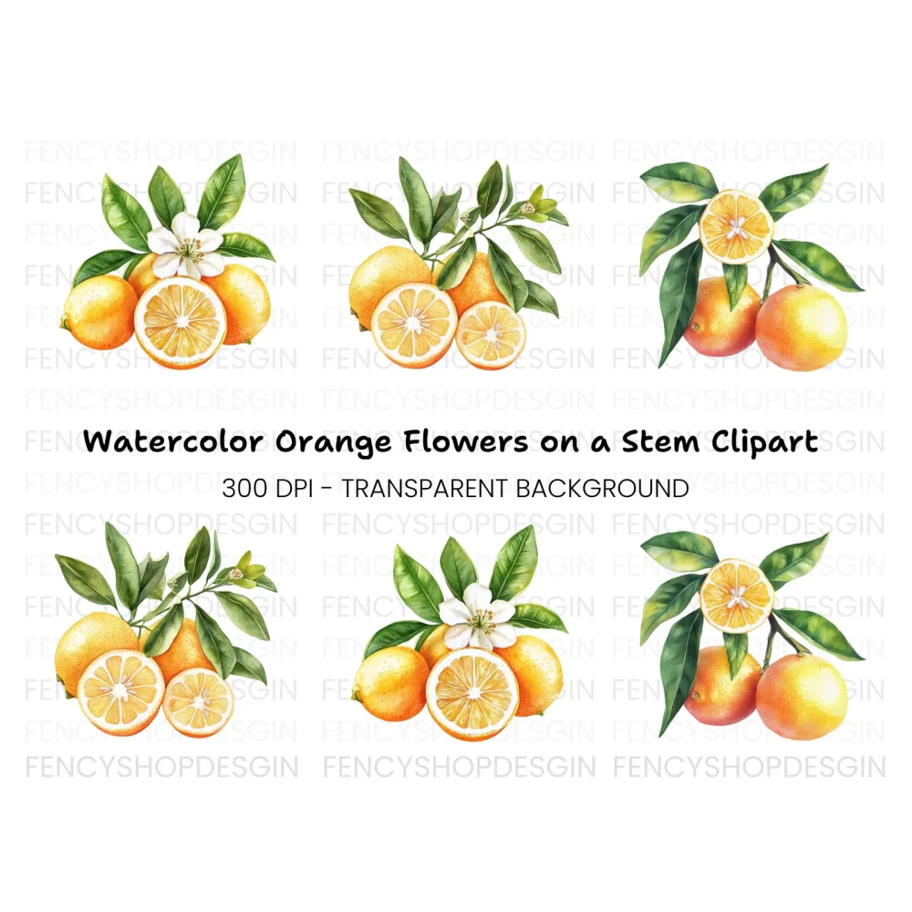 Citrus Fruit Clipart Bundle