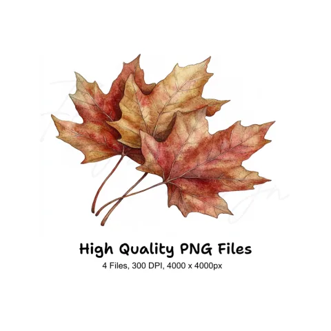 Autumn Maple Leaves Clipart Bundle