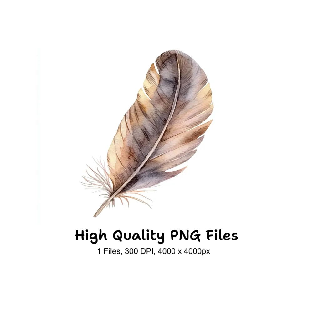 Boho Feather Clipart Bundle
