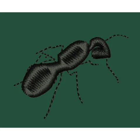 Black Ant Embroidery Design