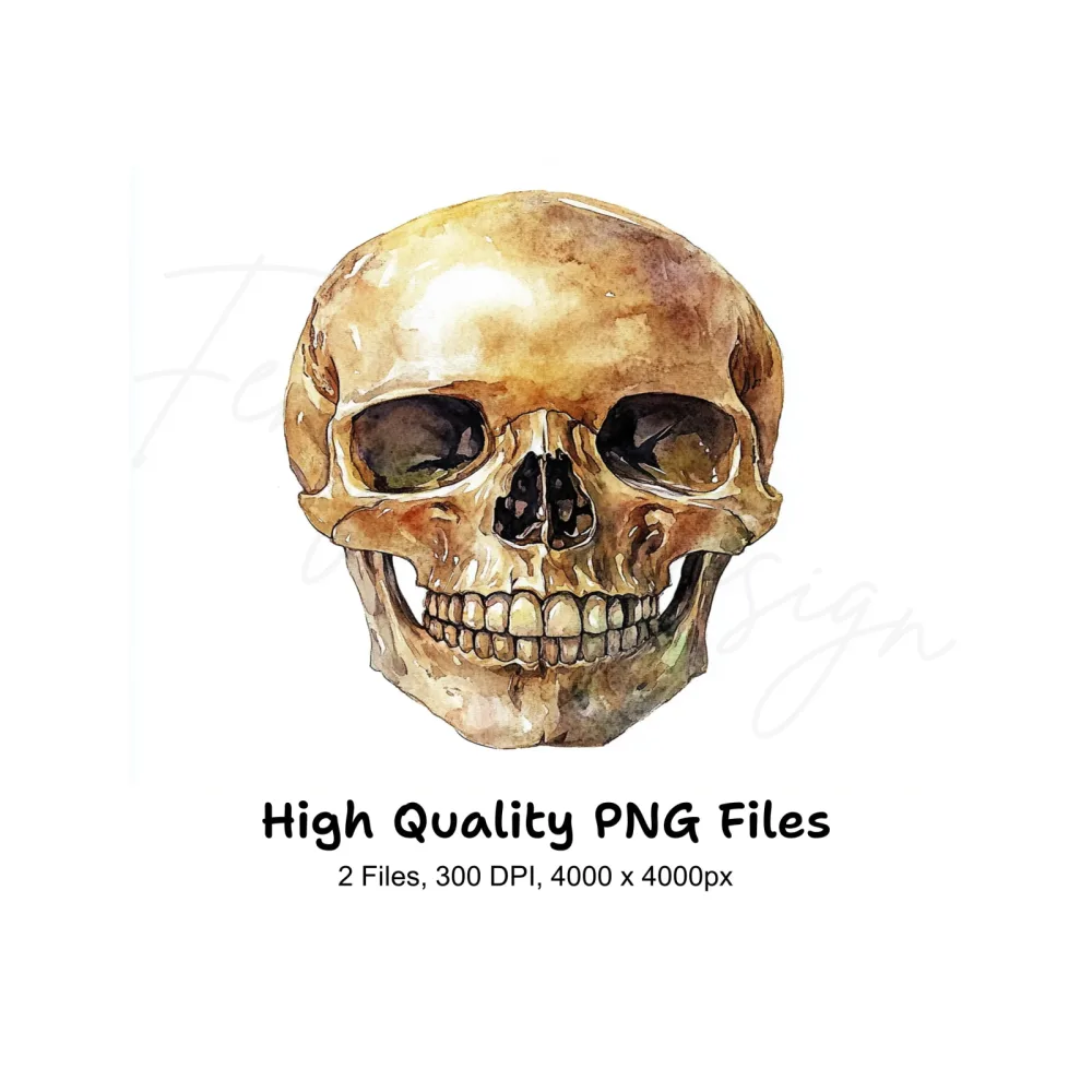 Human Skulls Clipart Bundle