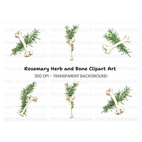 Rosemary and Bone Clipart Bundle