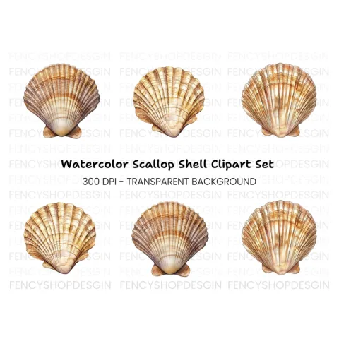 Scallop Shells Clipart Bundle