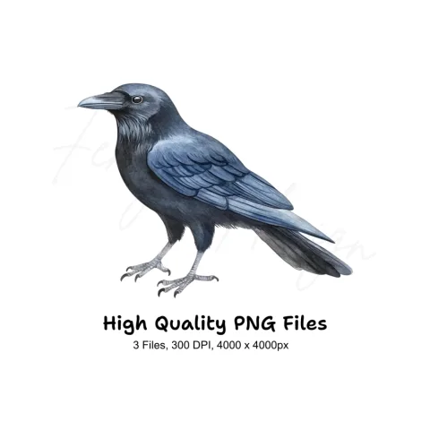 Black Crow Bird Clipart Bundle