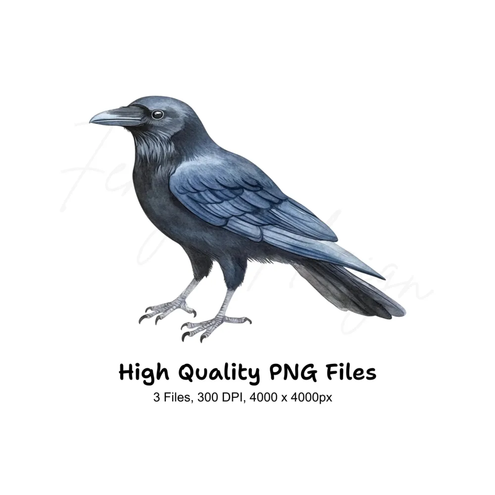 Black Crow Bird Clipart Bundle