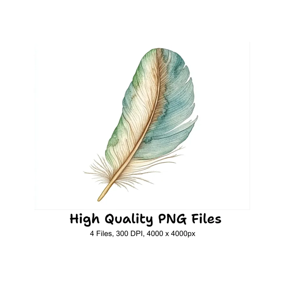 Colorful Feather Clipart Bundle