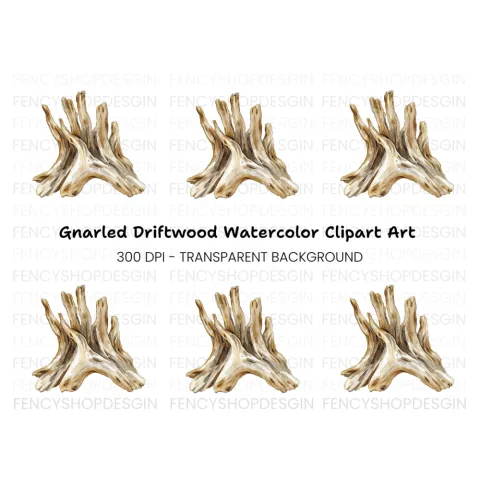Natural Wood Root Illustration Clipart Bundle