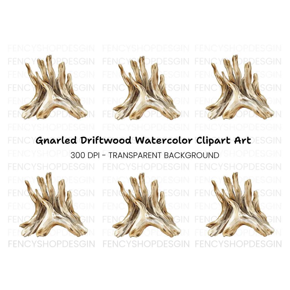 Natural Wood Root Illustration Clipart Bundle