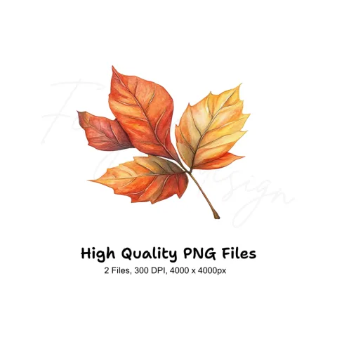 Autumn Leaves Clipart Bundle