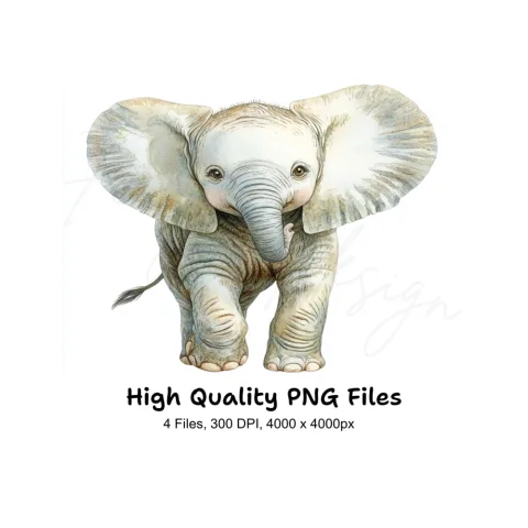 Baby Elephant Clipart Bundle