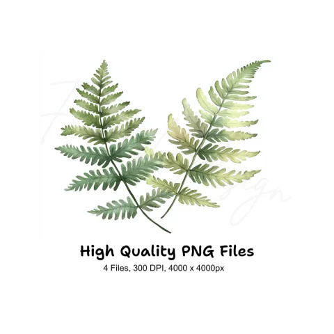 Green Fern Foliage Clipart Bundle