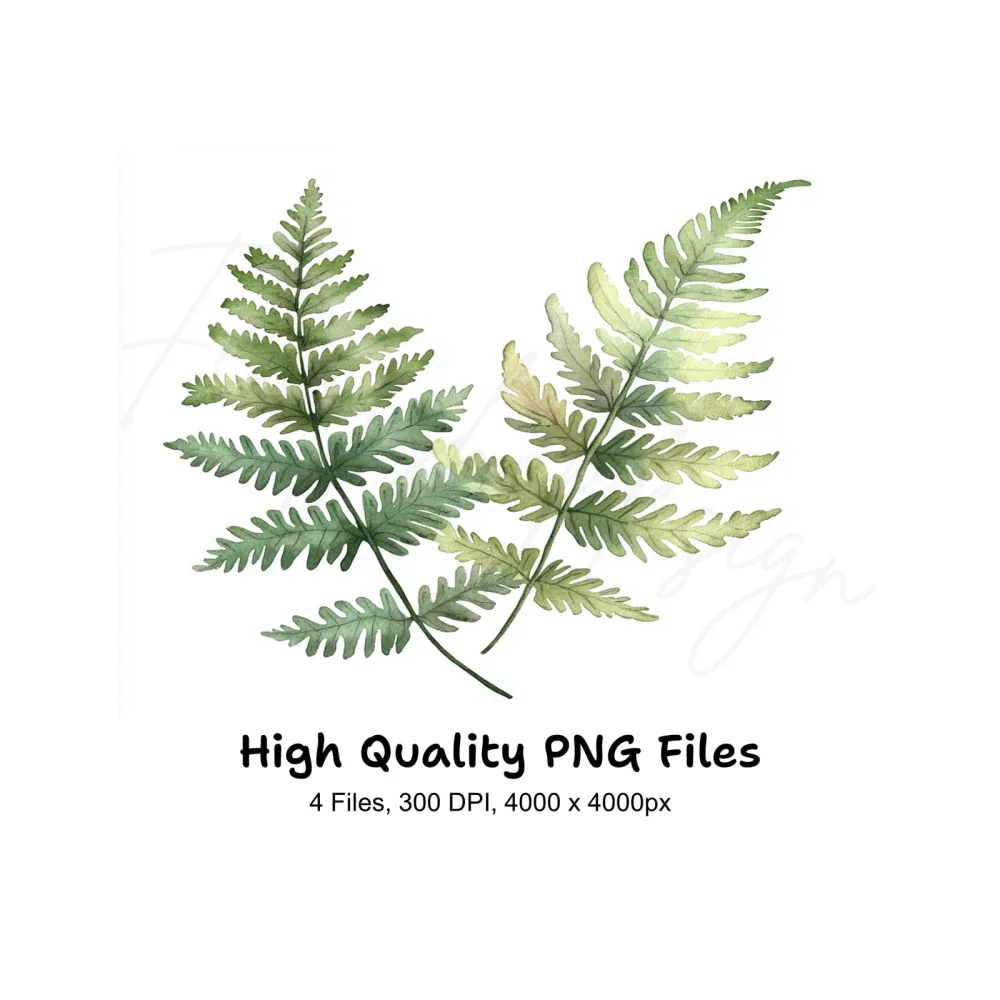 Green Fern Foliage Clipart Bundle
