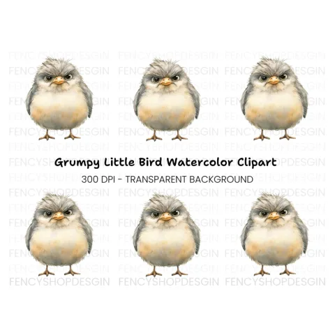 Furious Chick Illustration Clipart Bundle