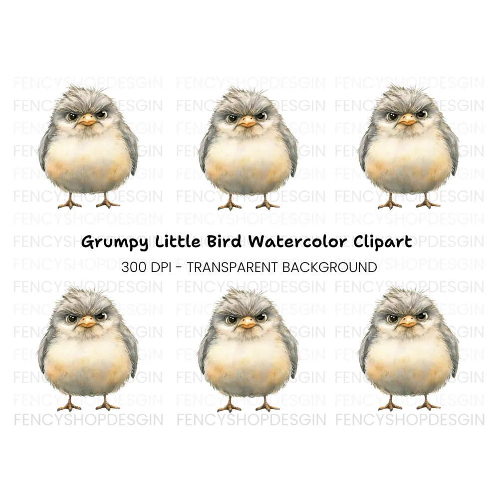 Furious Chick Illustration Clipart Bundle