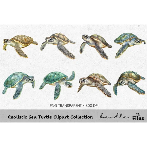 Realistic Sea Turtle Clipart Bundle