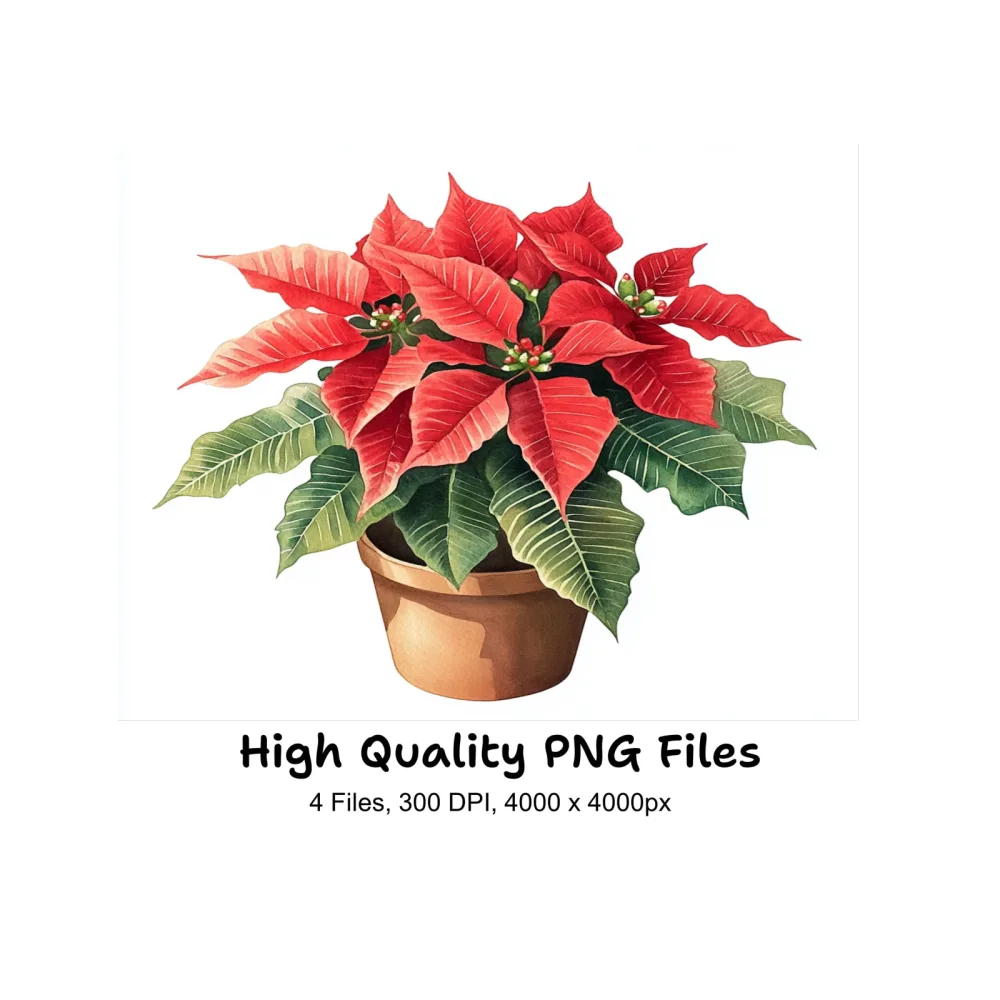Potted Poinsettia Christmas Clipart Bundle