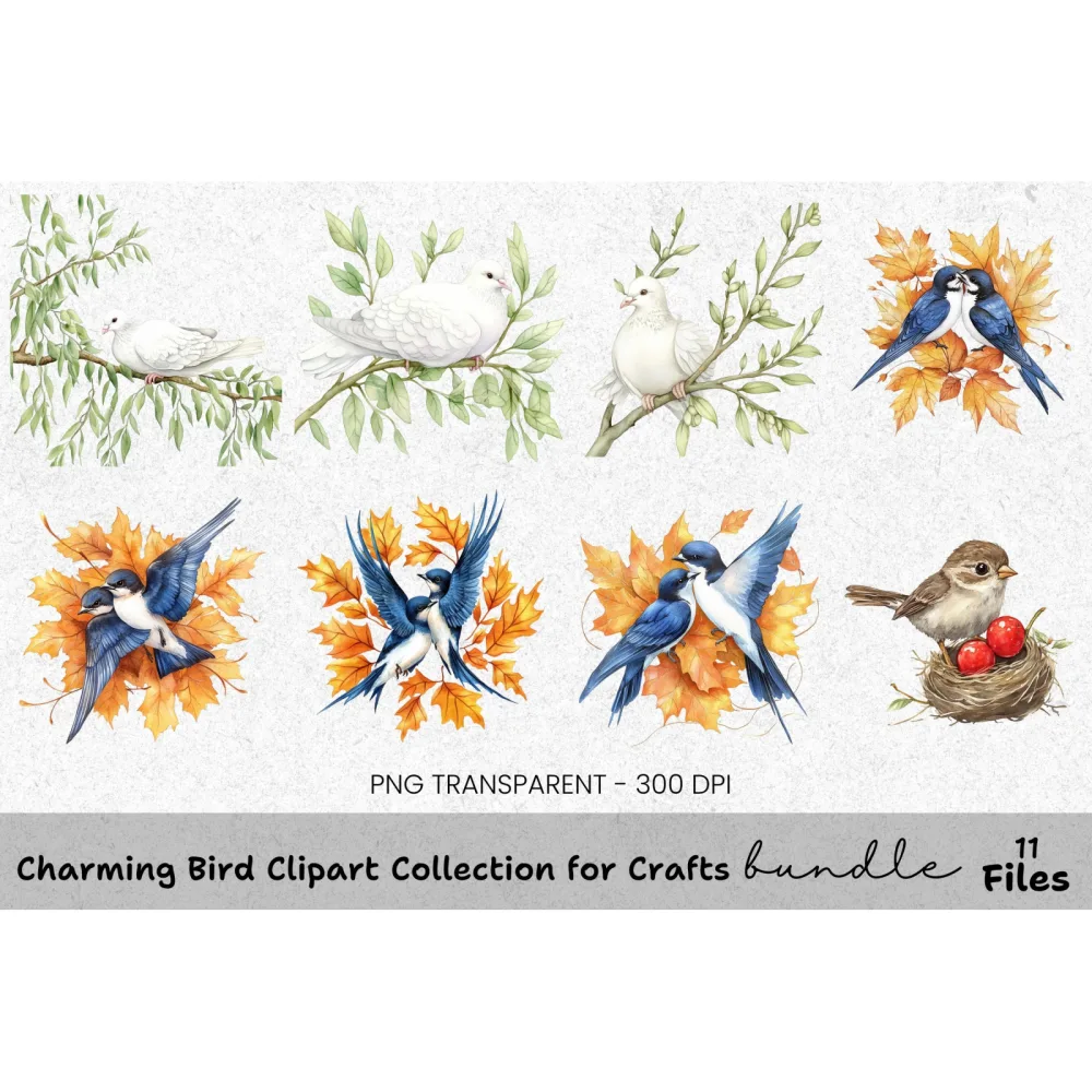 Charming Bird Clipart Bundle for Crafts