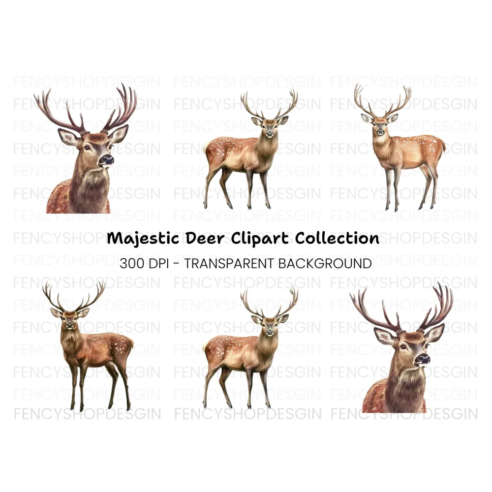 Majestic Deer Clipart Bundle