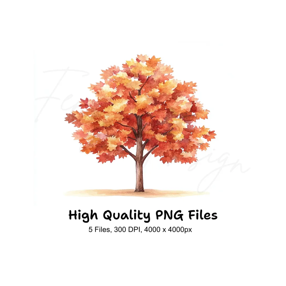 Autumn Trees Clipart Bundle