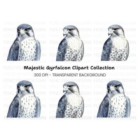 Majestic Falcon Clipart Bundle