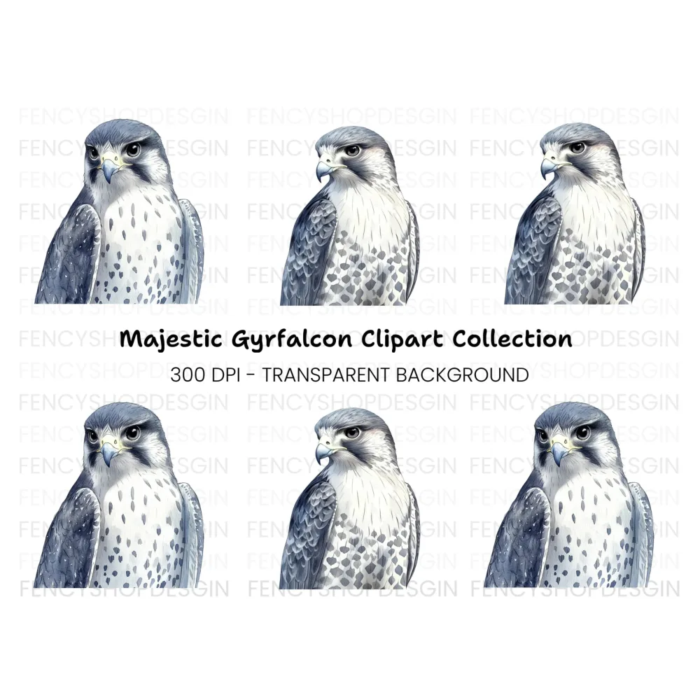 Majestic Falcon Clipart Bundle