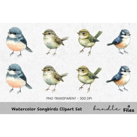 Songbirds Clipart Bundle