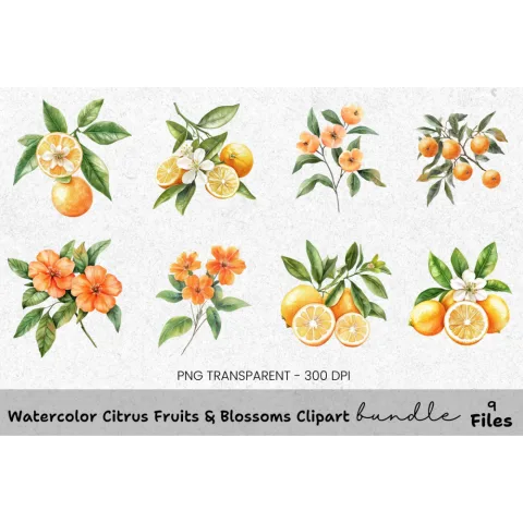Citrus Fruits Blossoms Clipart Bundle
