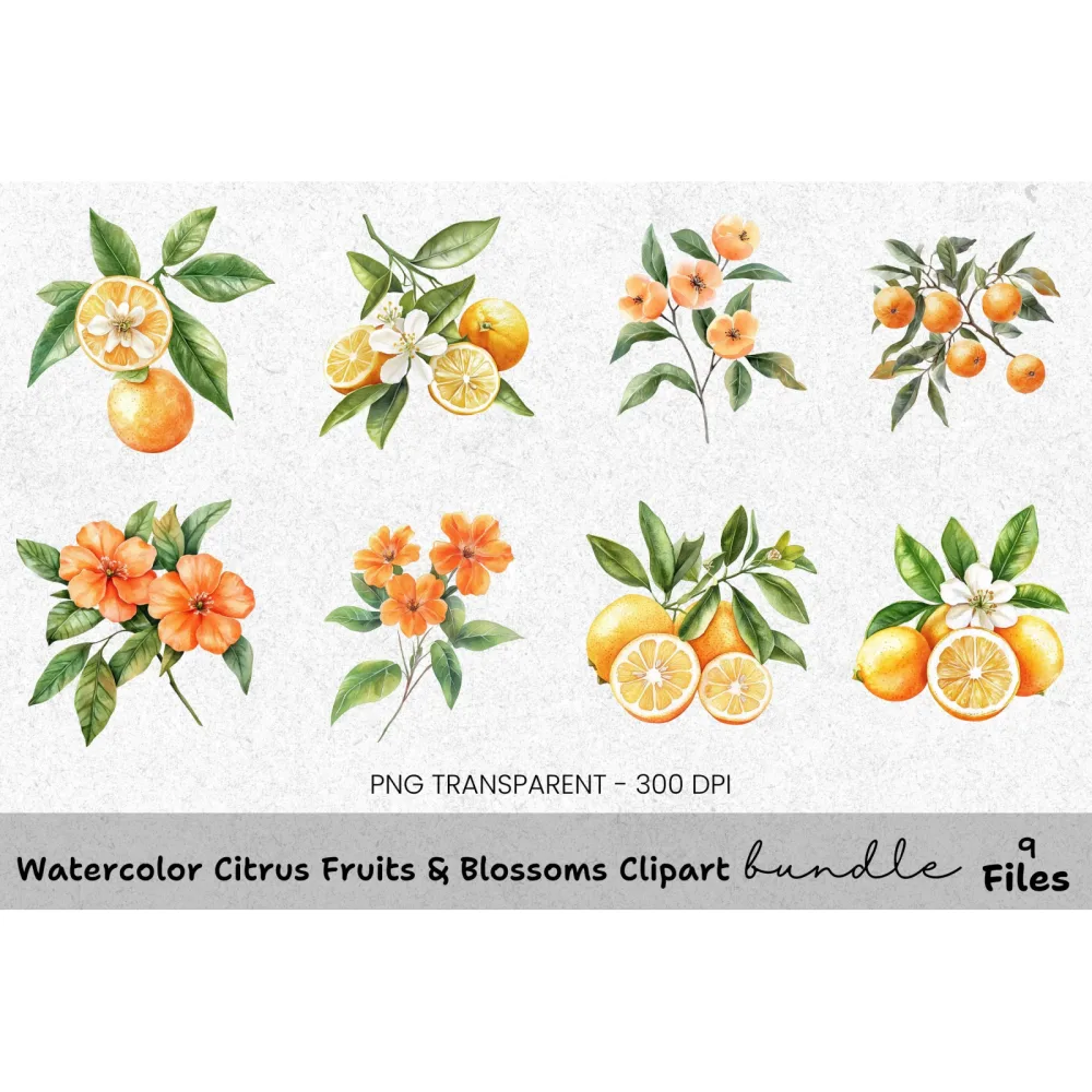Citrus Fruits Blossoms Clipart Bundle