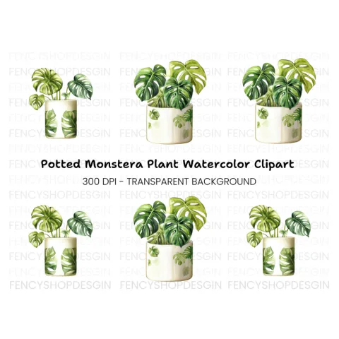 Monstera Plant Clipart Bundle