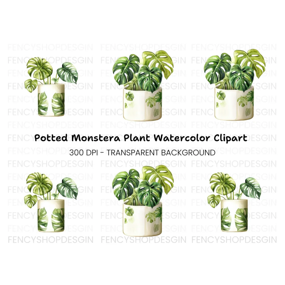 Monstera Plant Clipart Bundle