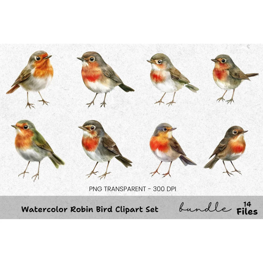 Robin Bird Clipart Bundle