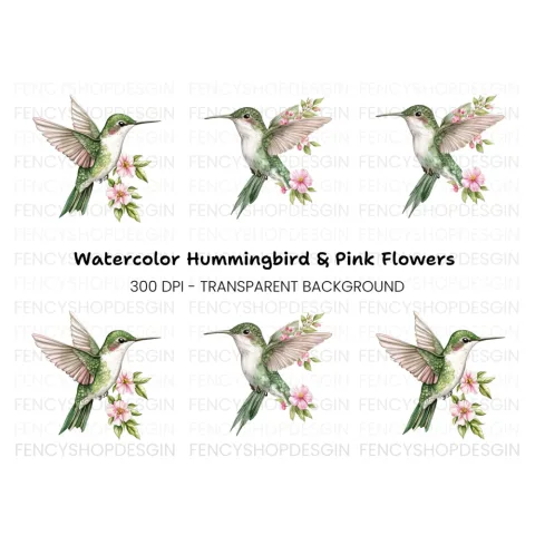 Hummingbird with Pink Flowers Clipart Bundle